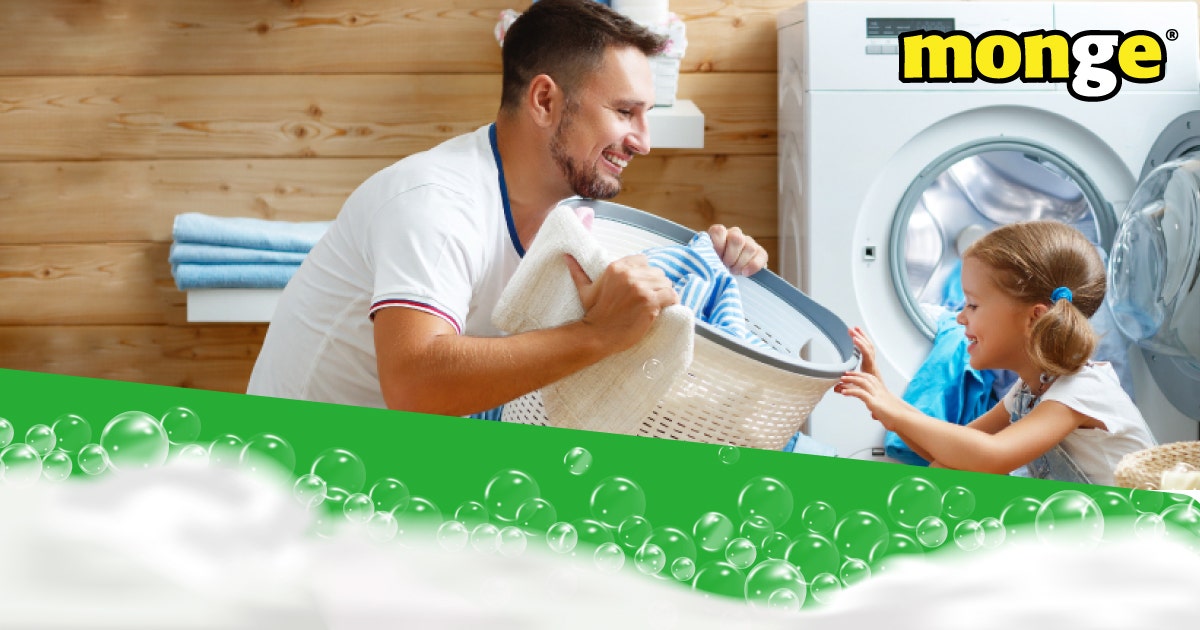 Encontrá la lavadora perfecta para tu familia