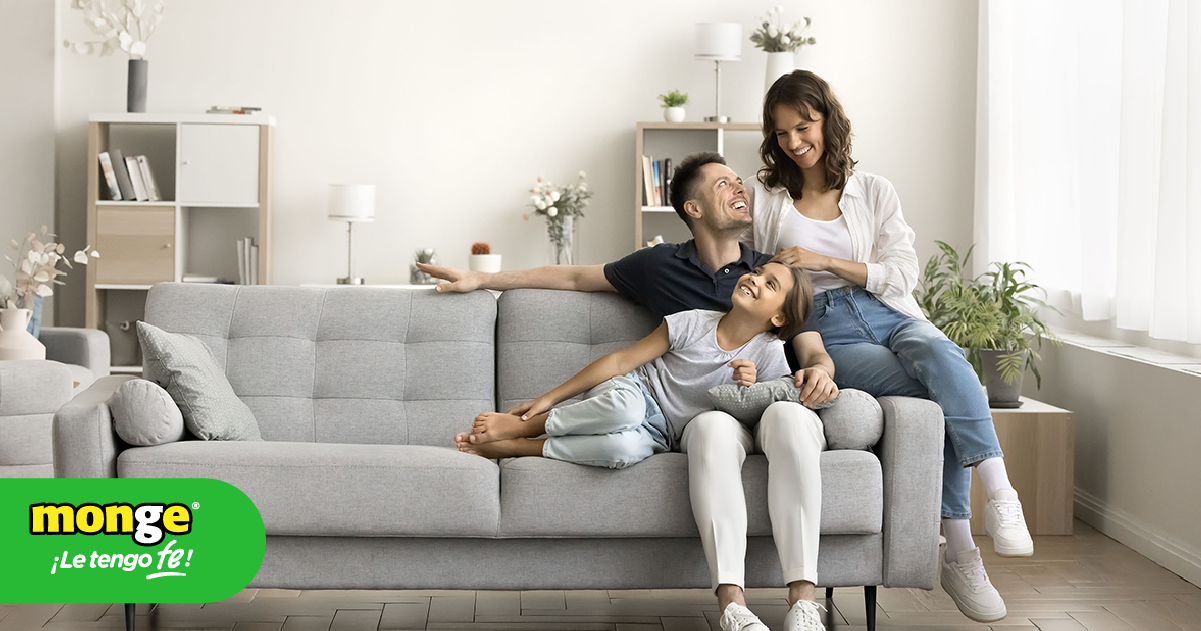 5 artículos que mejorarán tu hogar 