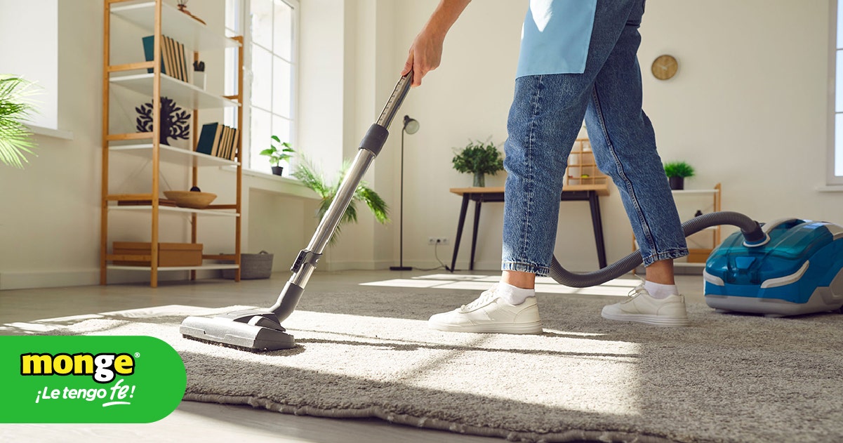 4 razones para tener una aspiradora en casa